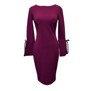 Calvin Klein Women Sheath Dress Bell Sleeve Tie Cuff Plum Size 2 New